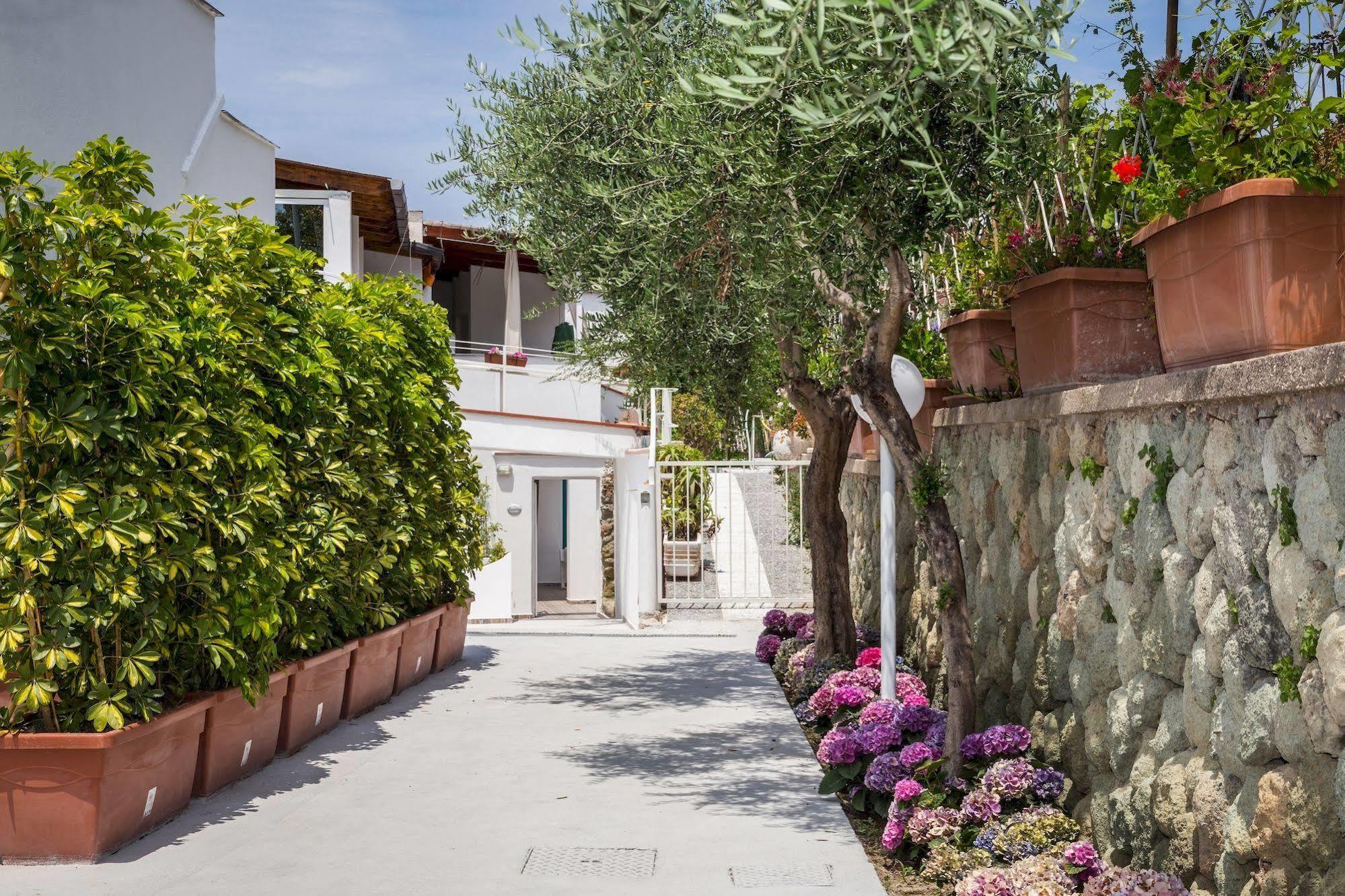 Relais Romildanna Panzió Forio di Ischia Kültér fotó