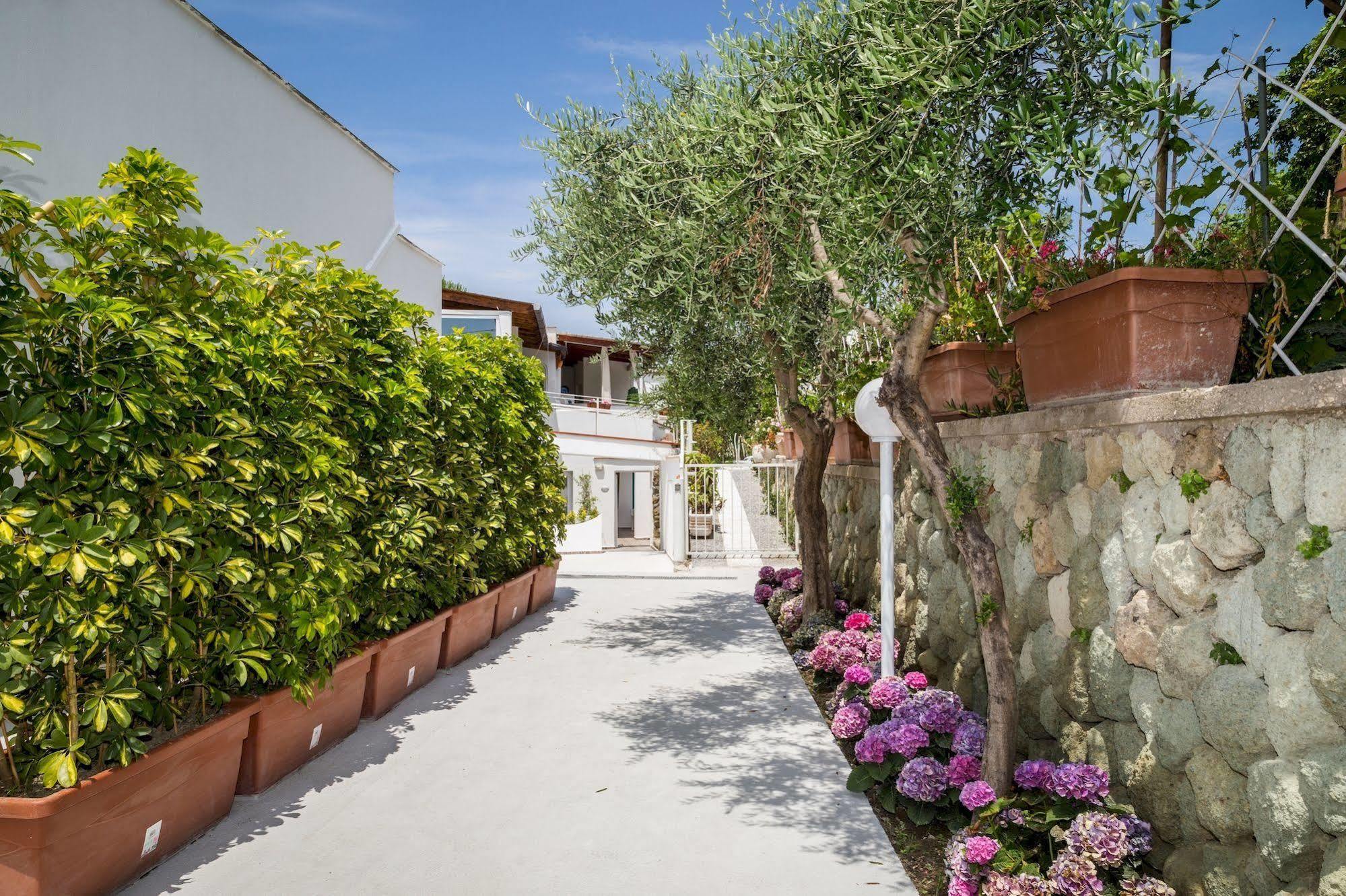 Relais Romildanna Panzió Forio di Ischia Kültér fotó